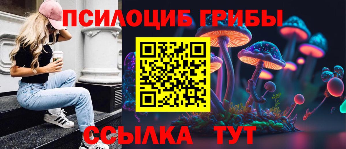 Галлюциногенные грибы Psilocybine cubensis  наркошоп  Тимашёвск  Вход с VPN 